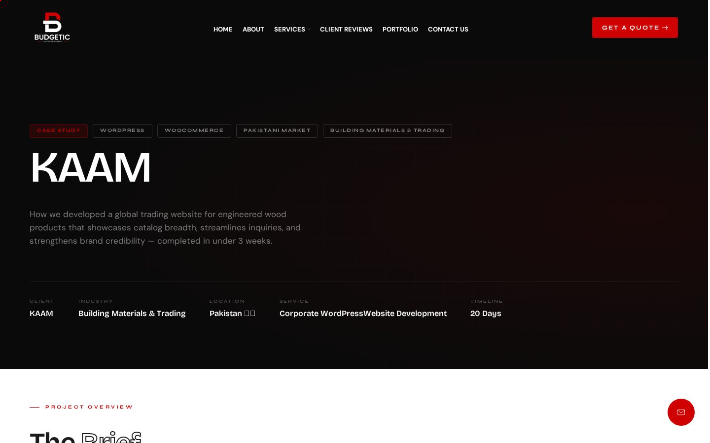 Budgetic website homepage preview